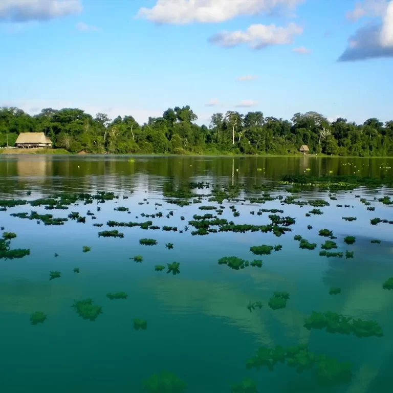 Día Mundial de los Humedales una lección desde la Amazonía