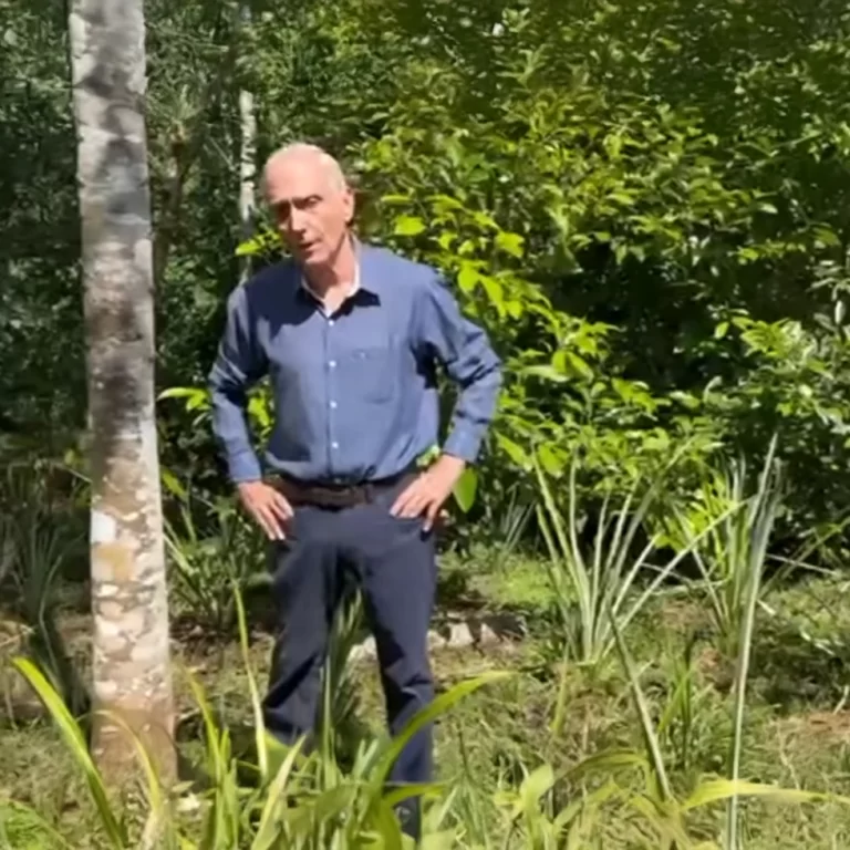 blog3Perú potencia mundial en madera